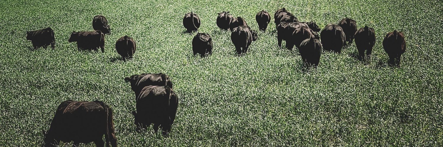 BlackLayerPro's profile banner image