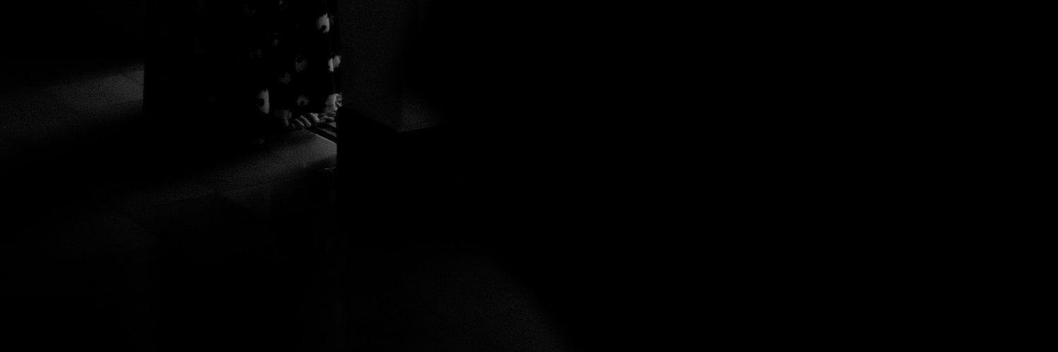 bintiksinga's profile banner image