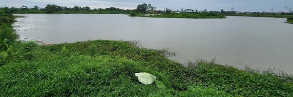 Chixenla Profile Banner