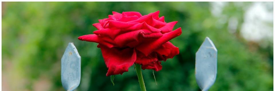 prabinbaniya's profile banner image