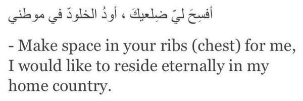 lessavidales Profile Banner