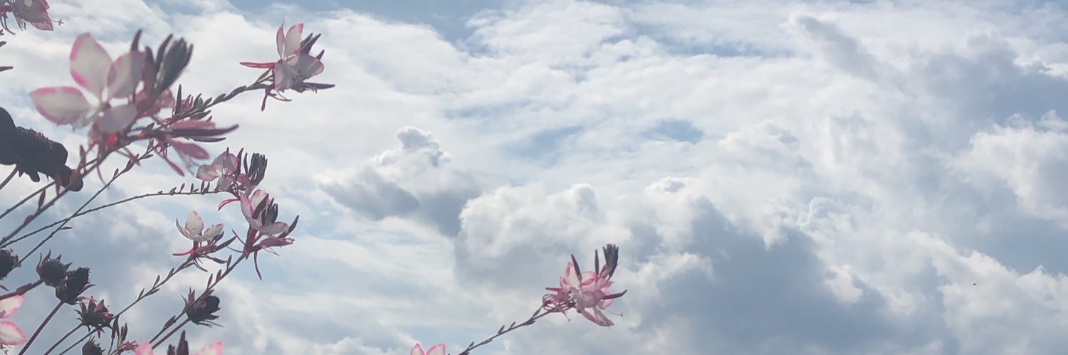 TaAlTamimi's profile banner image