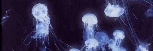 石井 千鶴🪼*.+ﾟ꒰ アイドルカレッジ おむすびコロコロ ꒱ banner