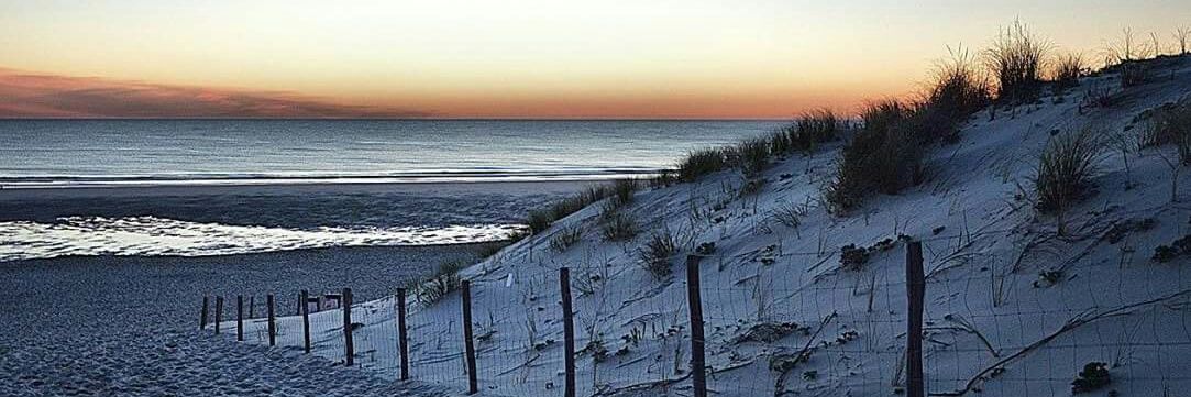 Fifrelin de la Marinière 🌈 banner