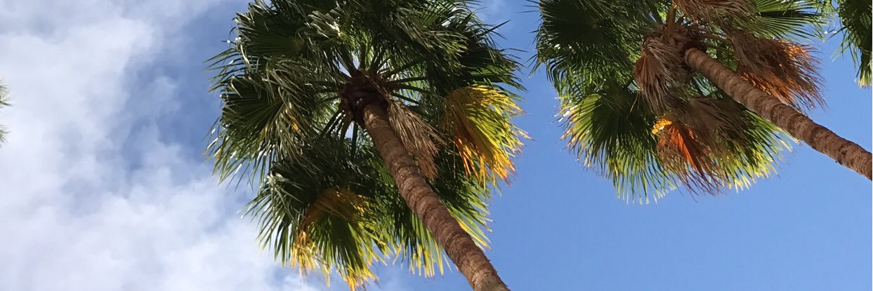 ashnnur's profile banner image