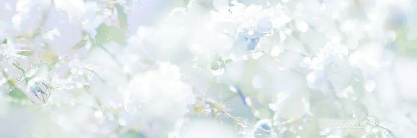 foxi.ny ˶ᵔ ᵕ ᵔ˶ banner