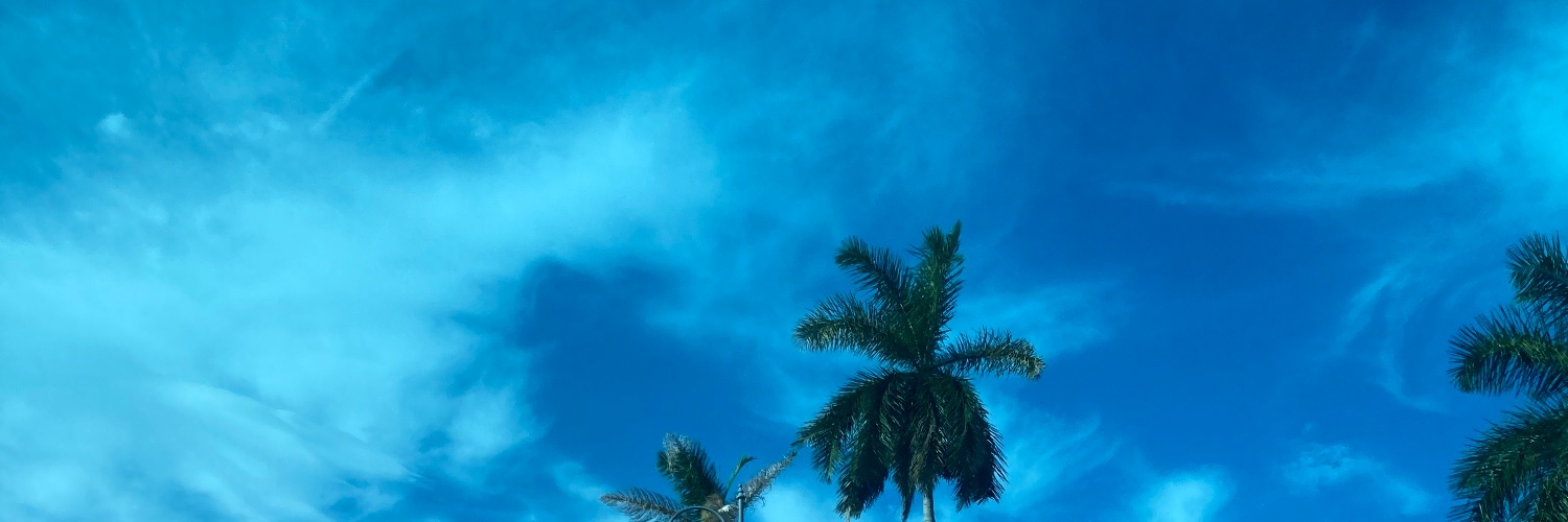ICecosolutions's profile banner image