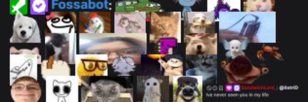 dumbassgangs Profile Banner