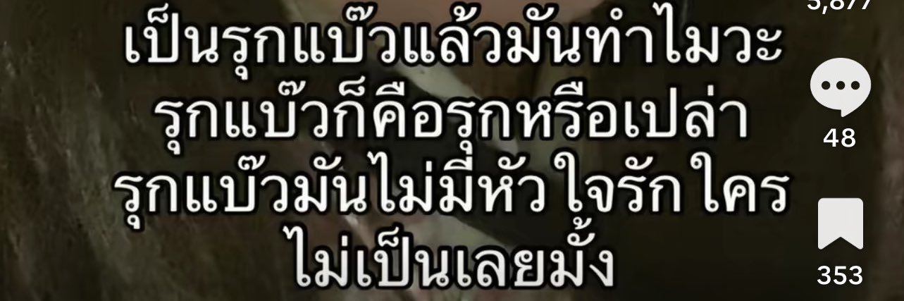 จ่ามานพ banner