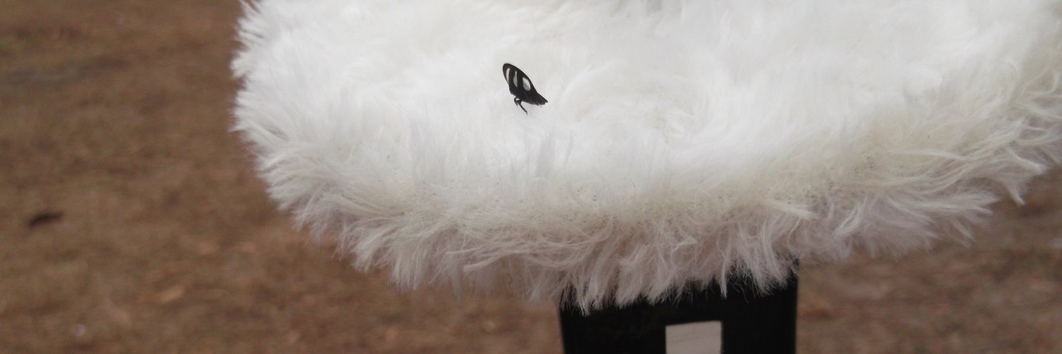 fellipeleonny's profile banner image