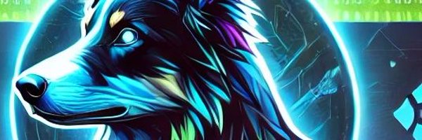 coiinhunterr Profile Banner