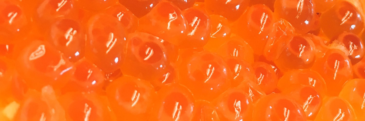 sa2ki0830's profile banner image