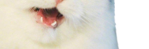 romynaromyna's profile banner image