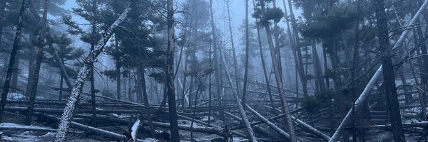 GulchDweller Profile Banner