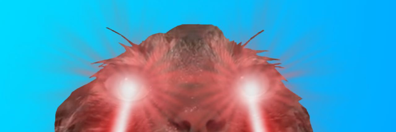cat is wet banner