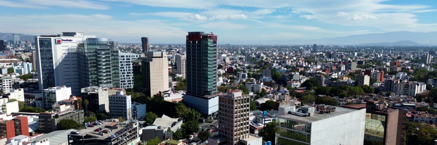 Pamela Hamui Abadi banner