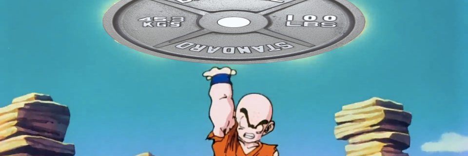 Logan's banner