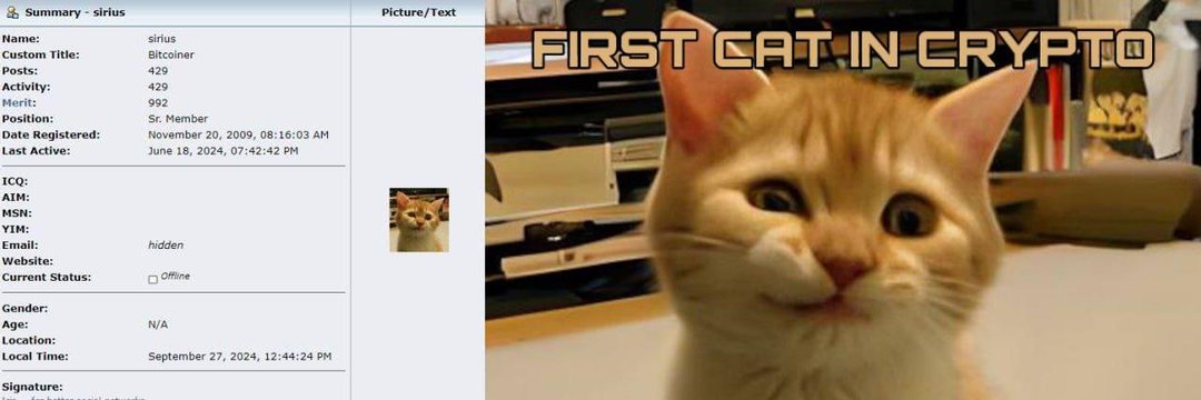 Mr. First banner