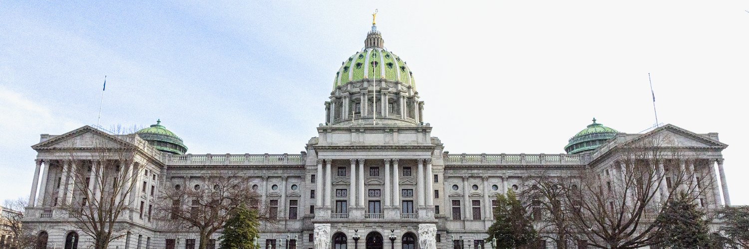 Senator Joe Picozzi's banner