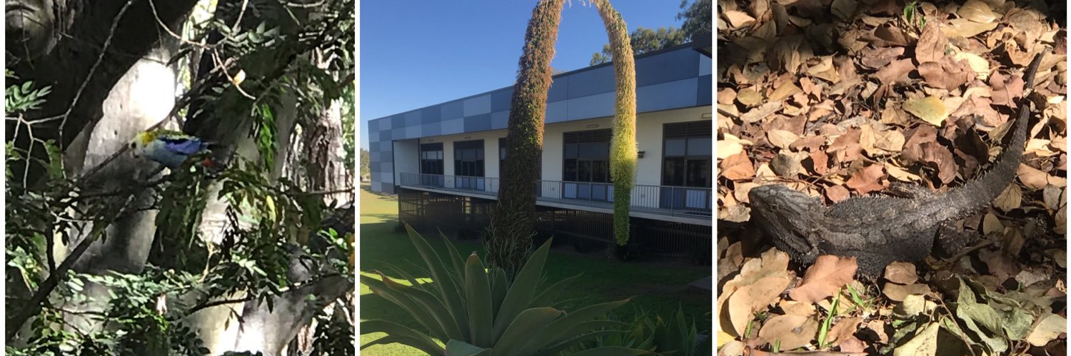 Michael McMahon banner