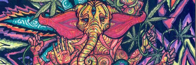 ShannonDermody's profile banner image