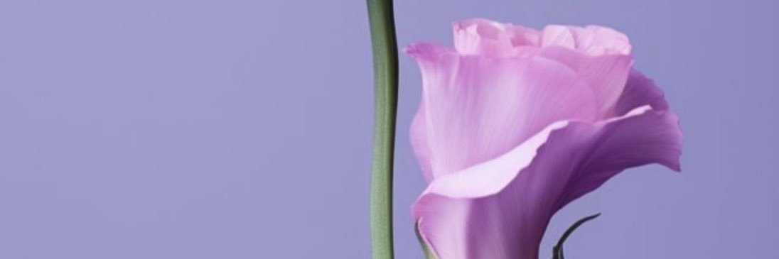 من كل بحر قطرة banner