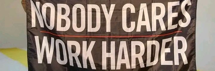 Cold_crypt0💎($DOG Arc) banner