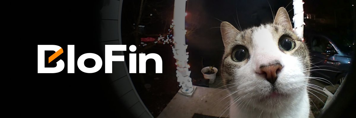 yoshi@blofin banner