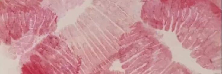 🌷🌷🌷 banner