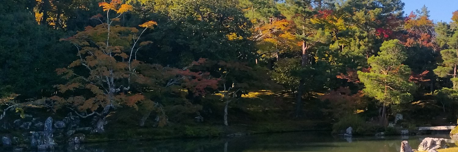 MintiChoco99554's profile banner image