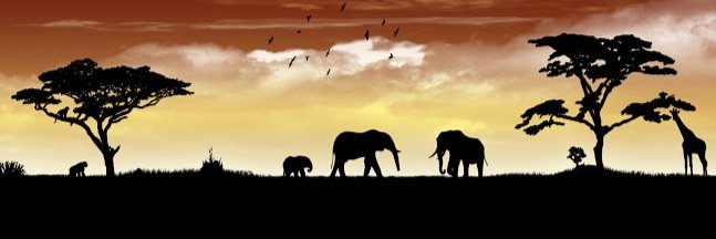 sunipal's profile banner image