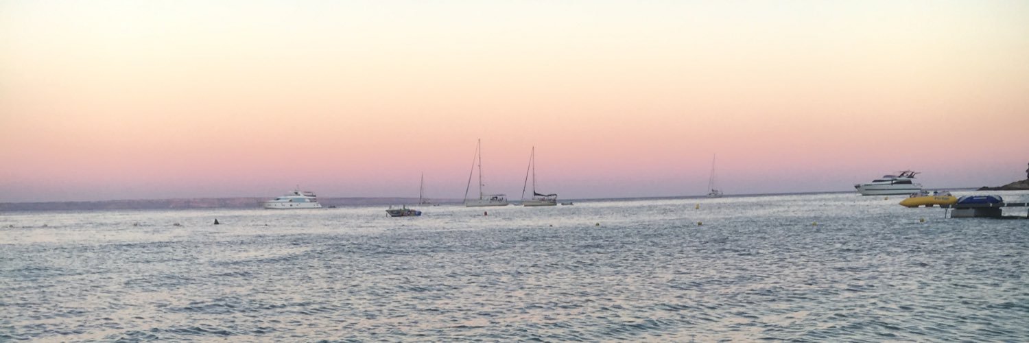 caryswilson_'s profile banner image