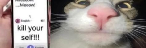 nid banner