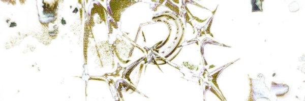 pckcrw Profile Banner