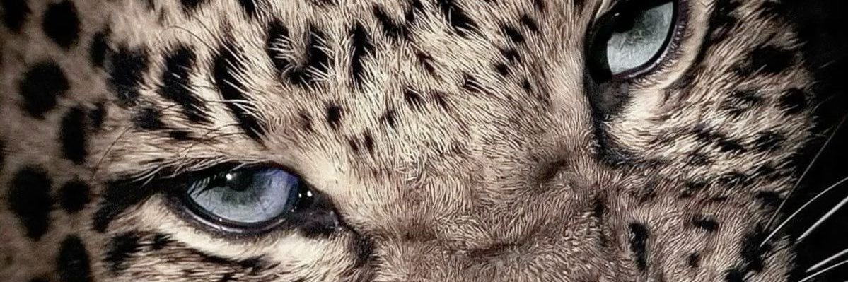 shesoamilion's profile banner image