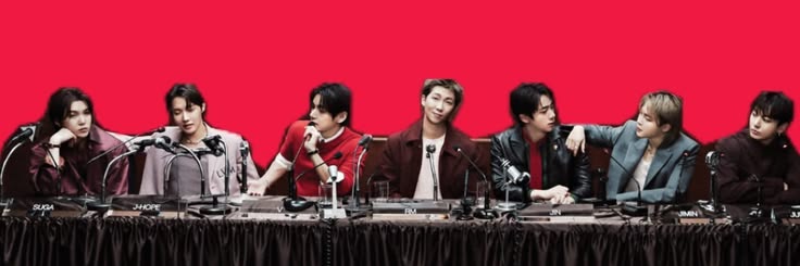 Vilu banner