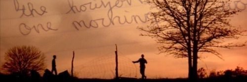 Katsu - $hedtŵt ♬ banner