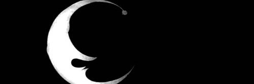 Jokomo 🩹 banner