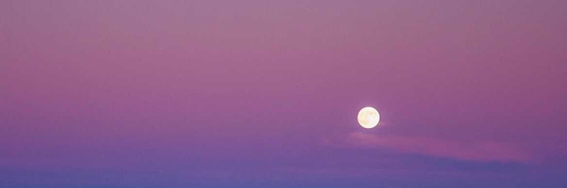 Page0475's profile banner image