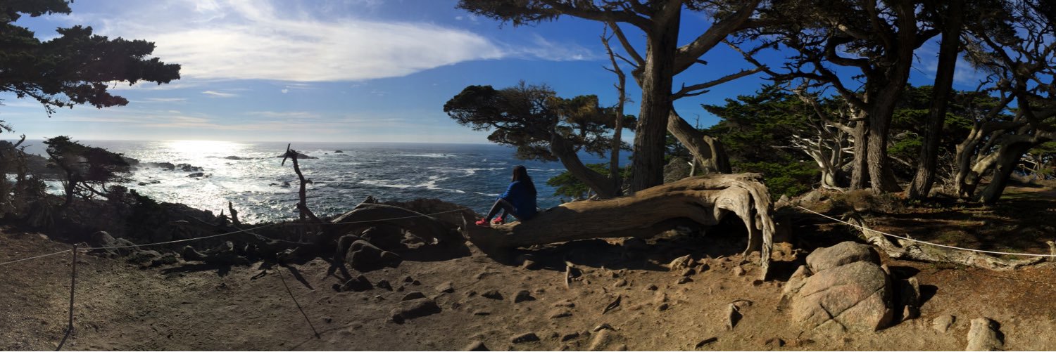 831bayarea's profile banner image