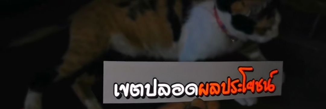 ChnaX65158's profile banner image