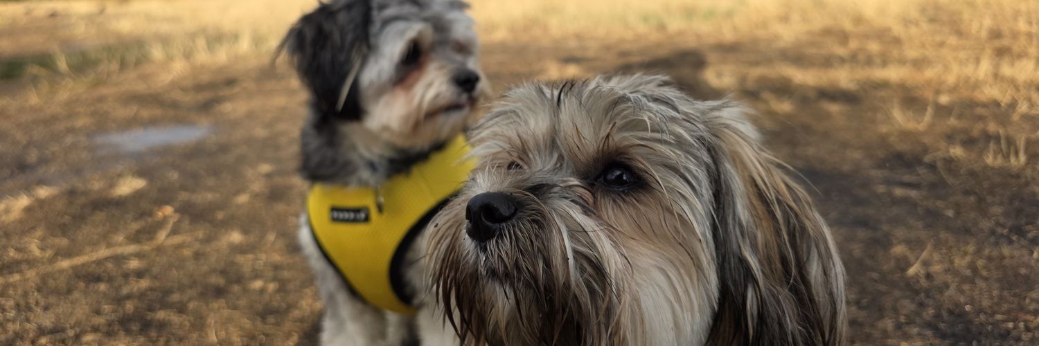 JOE PUBLIC 💯 banner