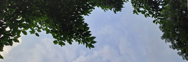 sukakmatcha Profile Banner