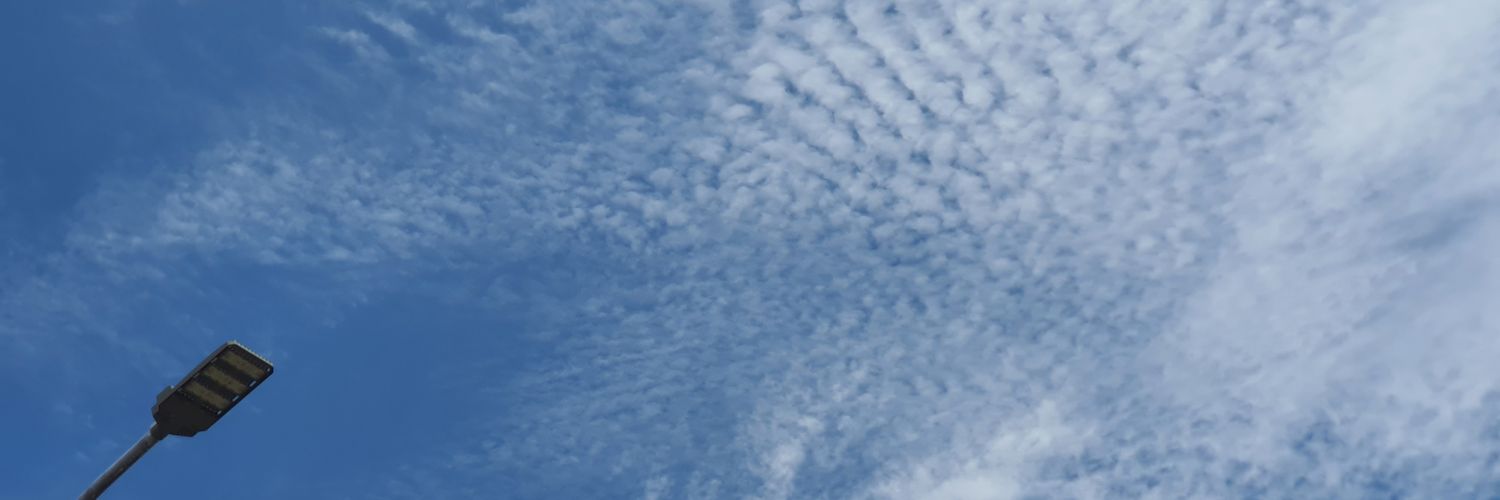 chionophiley's profile banner image