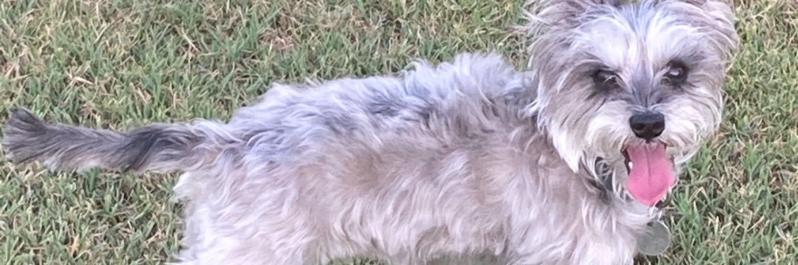 E banner