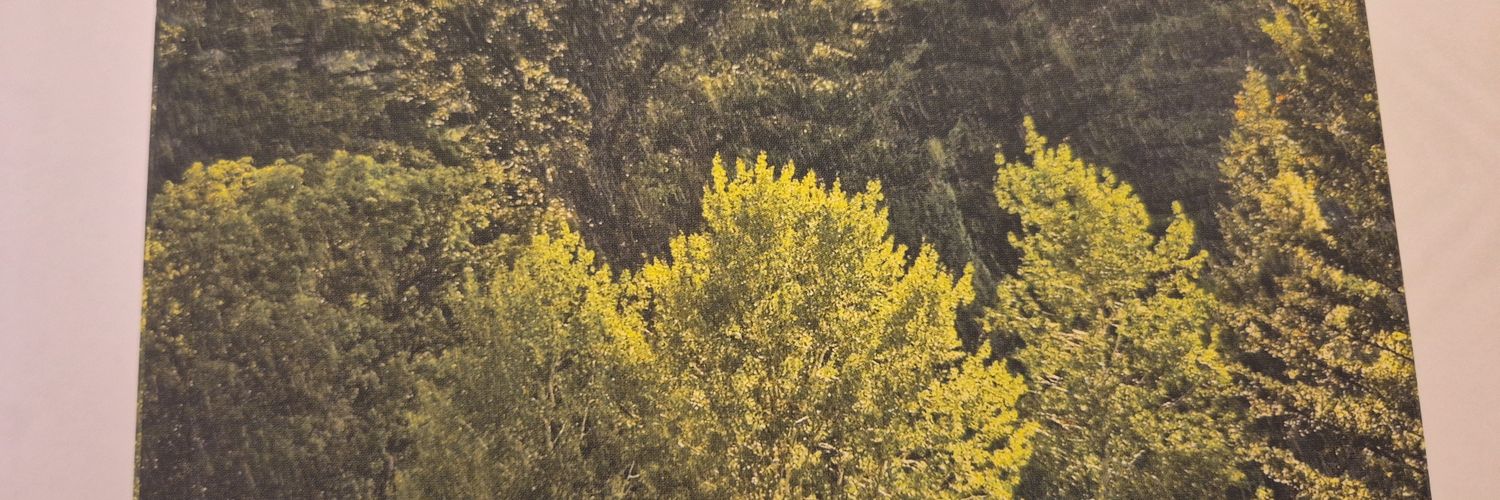 Intricata73's profile banner image