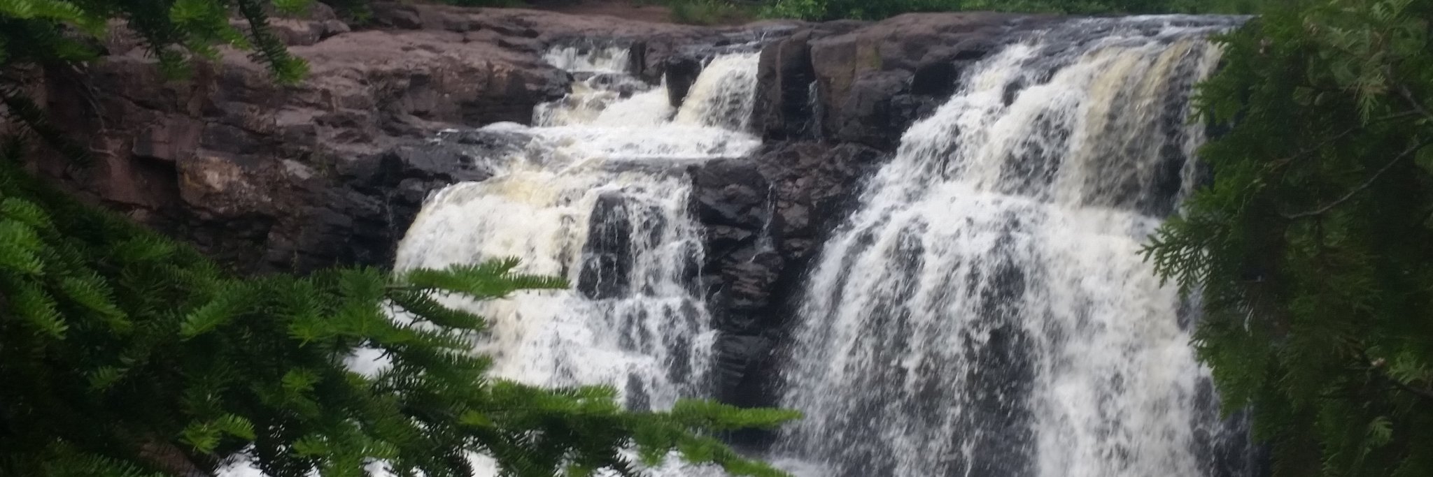 Science at Pershing and Emerson banner