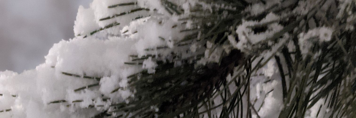 elemnopee's profile banner image