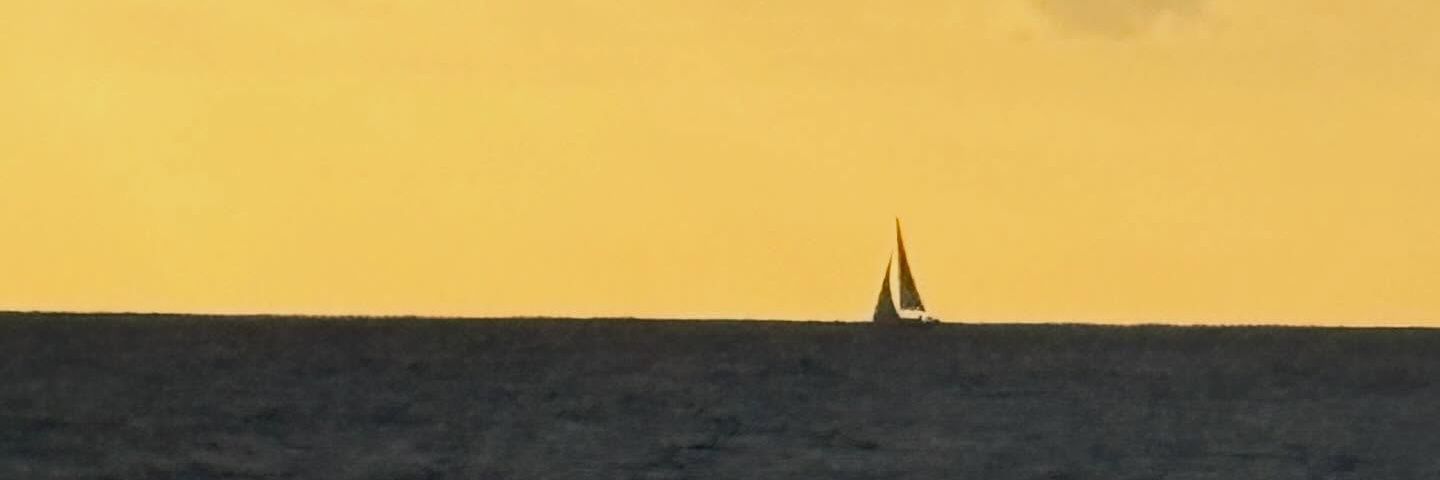 彩虹盐🧂 banner