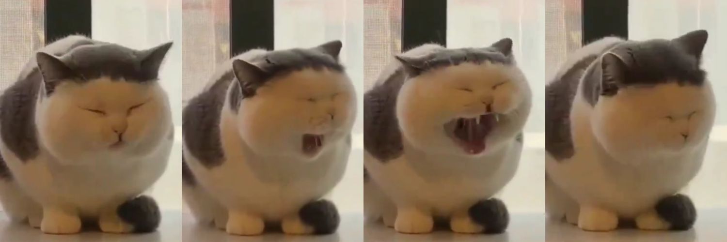 Yukyik_28's profile banner image
